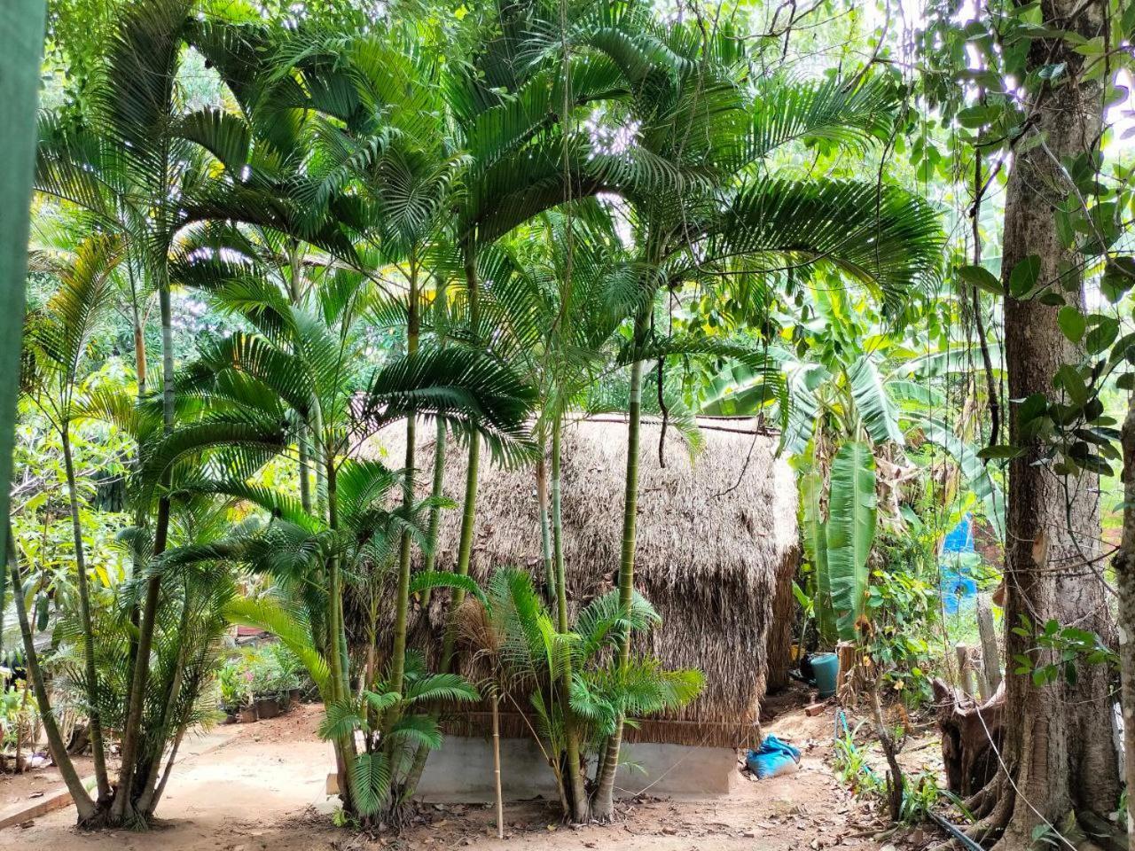 Appartement Jungle House Kep Extérieur photo