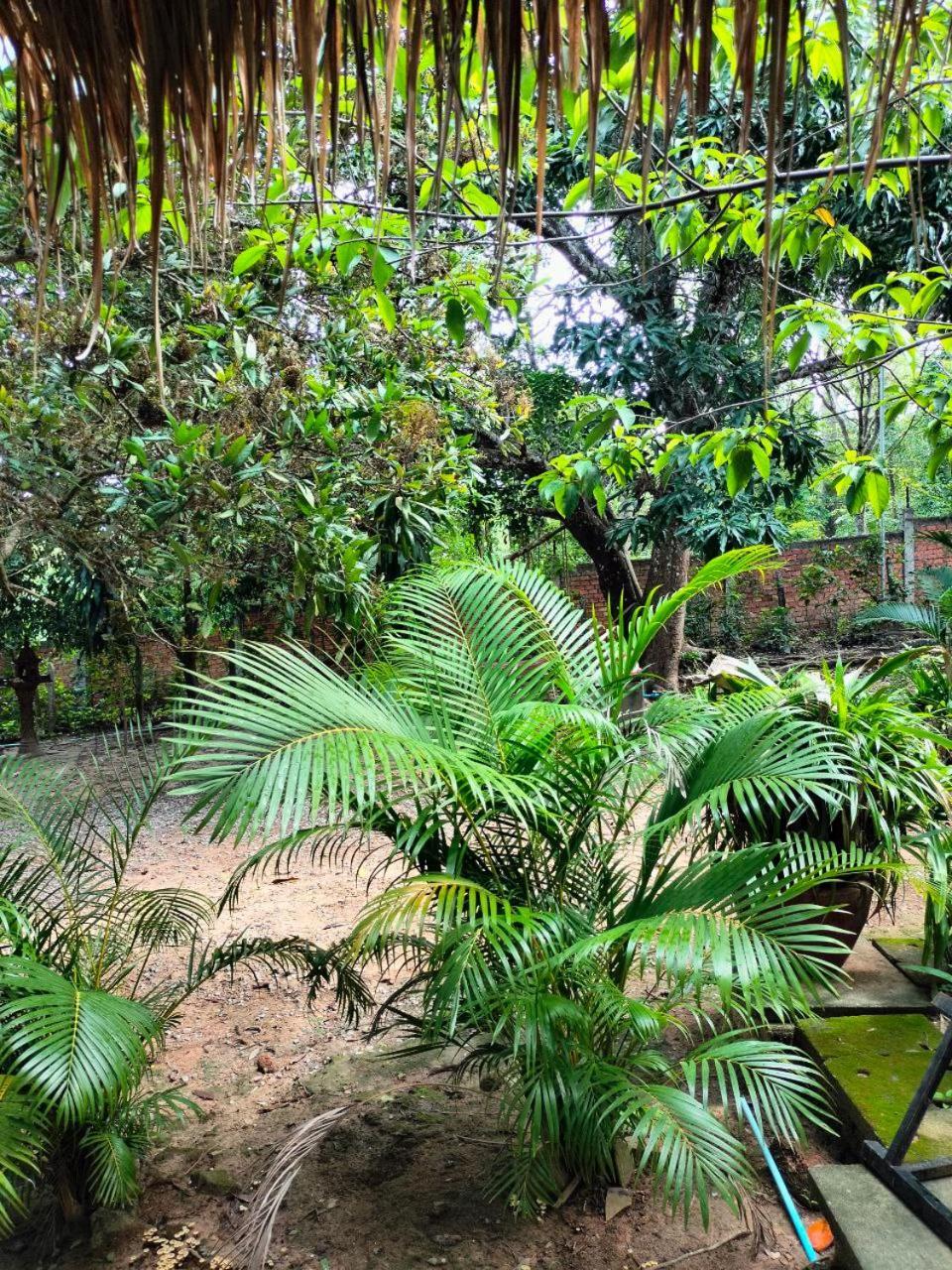 Appartement Jungle House Kep Extérieur photo