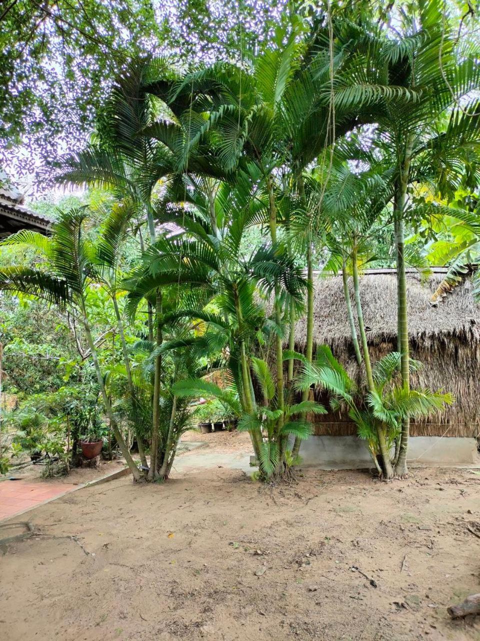 Appartement Jungle House Kep Extérieur photo
